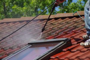 Read more about the article Roof Cleaning Services St. Louis